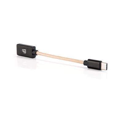 iFi OTG Kabel USB-A auf USB-C