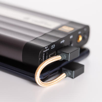 iFi OTG 90°câble USB-C sur USB-C