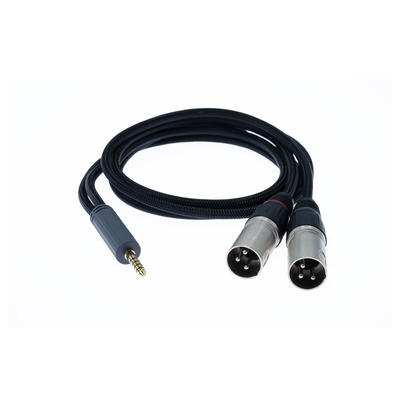 iFi 4.4 mm auf XLR Kabel Standard Edition