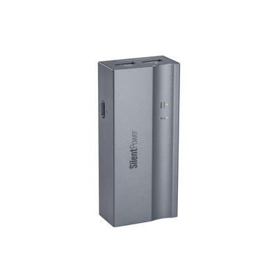 SilentPower by iFi USB iPurifier Pro USB-Signalreiniger