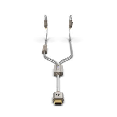 iFi GO cable 2-Pin-Ohrhörerkabel mit USB-C-Stecker