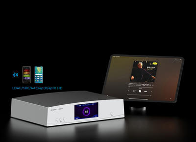 Aune S18 EVO Argent DAC de bureau