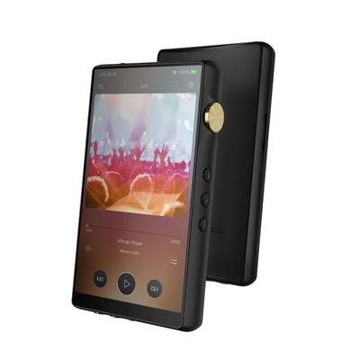 iBasso DX240 Schwarz High-End Musik-Player
