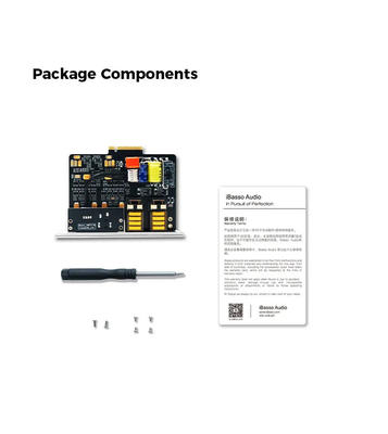 iBasso AMP18 Modul für DX300, DX320 und DX340