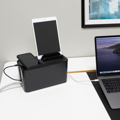 Bluelounge CableBox Mini Station noir