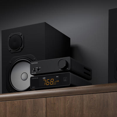 Topping Mini 300 Schwarz Desktop Leistungsverstärker