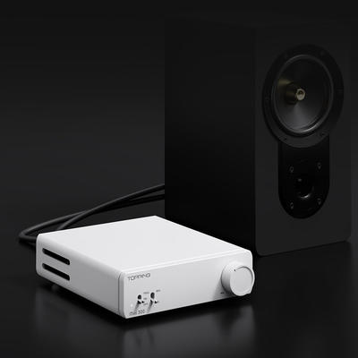 Topping Mini 300 Silber Desktop Leistungsverstärker