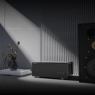 Topping B200 Schwarz Mono-Leistungsverstärker