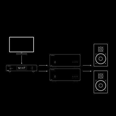 Topping B200 Argent amplificateur de puissance mono