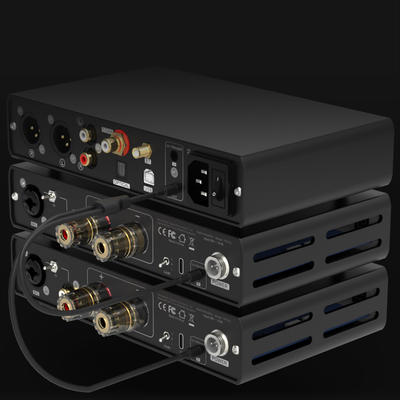 Topping B100 Schwarz Mono-Leistungsverstärker