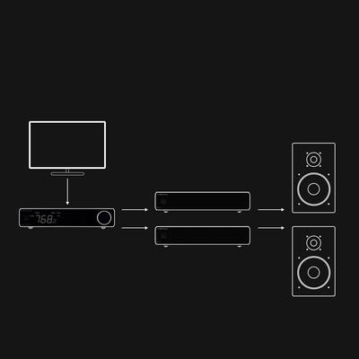 Topping B100 Schwarz Mono-Leistungsverstärker