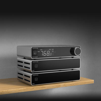 Topping B100 Silber Mono-Leistungsverstärker