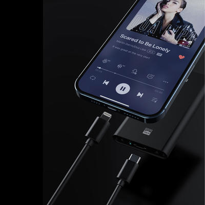 FiiO LT-LT3 Lightning auf USB-C Kabel (Länge 20cm)