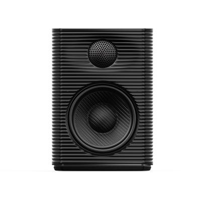 FiiO SP3 Schwarz Aktiv-Lautsprecher (1 Paar)