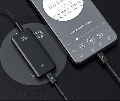 FiiO LT-TC4 USB-C auf USB-C OTG Kabel (Länge 50cm)