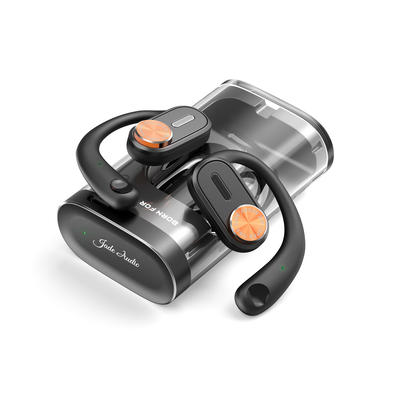 FiiO JW1 Schwarz Offene True Wireless Ohrhörer