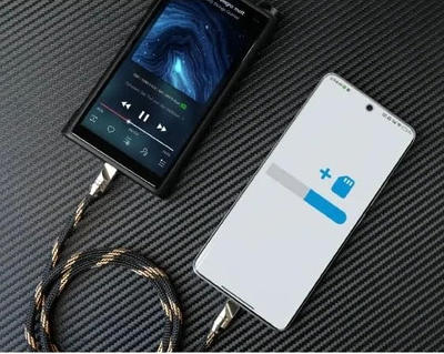 FiiO LT-TC5M Câble USB-C vers USB-C (longueur 80cm)