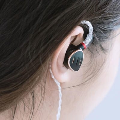 FiiO FH5S Schwarz In-Ear Ohrhörer