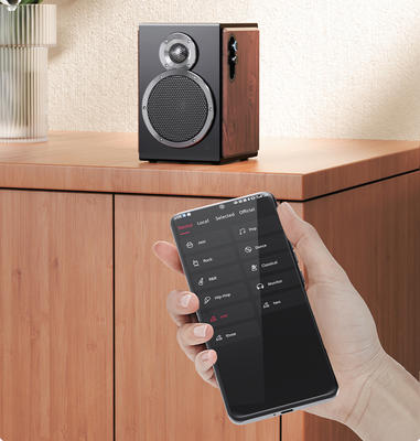 FiiO SA1 Schwarz/Holz Aktiv-Lautsprecher (1 Paar)