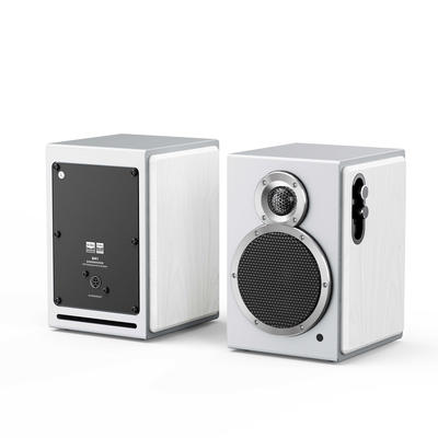FiiO SA1 Silber/Weiss Aktiv-Lautsprecher (1 Paar)
