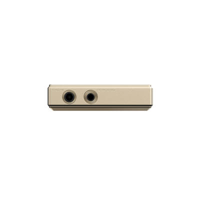 FiiO M21 Titane-Or Lecteur portable Hi-Res