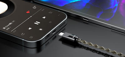 FiiO LS-TC2 Câble d'écouteurs avec fiche USB-C (2 broches)