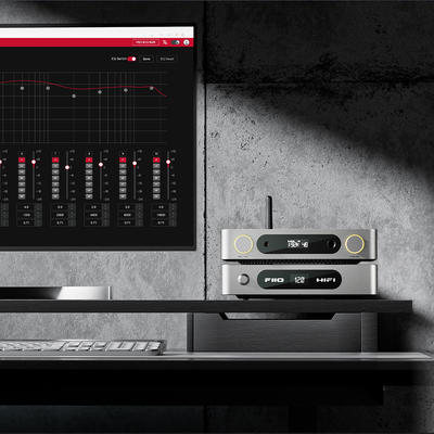FiiO K13 R2R Silber Desktop DAC und Kopfhörer-Verstärker