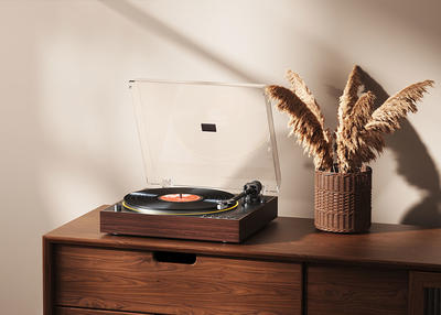 FiiO TT11 Brun Platine vinyle