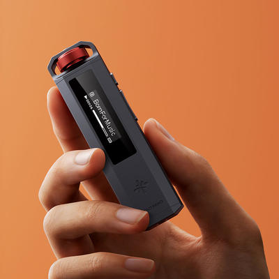 FiiO Snowsky ECHO NANO Schwarz Portabler Hi-Res Musik-Player
