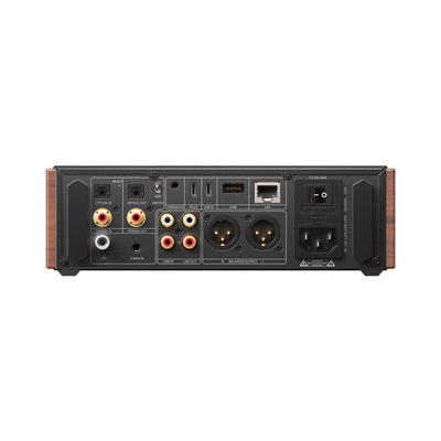 FiiO K17 R2R Schwarz Desktop DAC und Kopfhörer-Verstärker