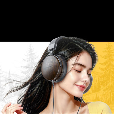 FiiO Snowsky NATURE Noir Casque Over-Ear fermé