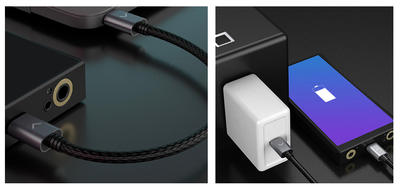 FiiO LT-TC1 Câble USB-C OTG (USB On-the-Go)