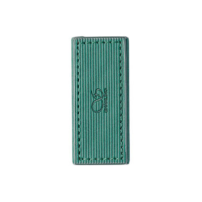 Shanling Etui Grün für UA4