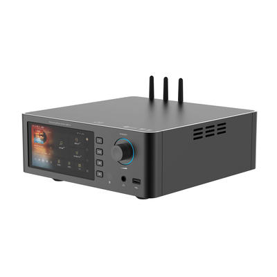 Shanling SM1.3 Schwarz HiFi-Streamer