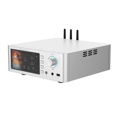 Shanling SM1.3 Silber HiFi-Streamer