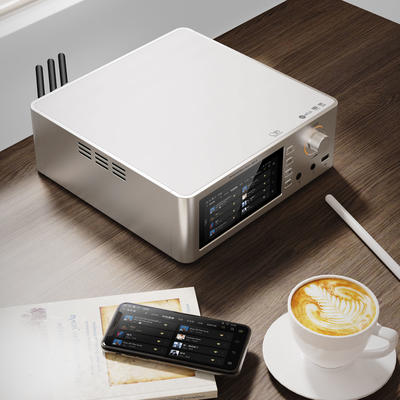 Shanling SM1.3 Silber HiFi-Streamer