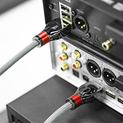 Shanling L8 cable I2S
