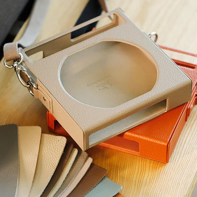 Shanling Etui Grau für EC Zero T