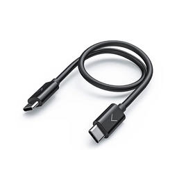 FiiO LT-TC3 Câble OTG USB-C vers USB-C (Longueur 20cm)